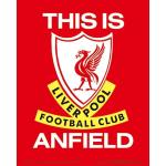 Liverpool-FC-3D-Print-1