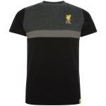 Liverpool-FC-Panel-T-Shirt-Junior