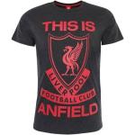 Liverpool-FC-This-Is-Anfield-T-Shirt-Mens-Charcoal89