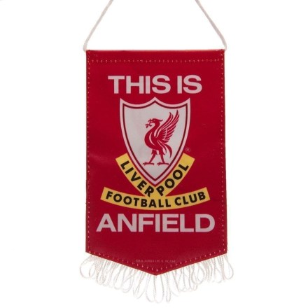 Liverpool-FC-Mini-Pennant-TIA98